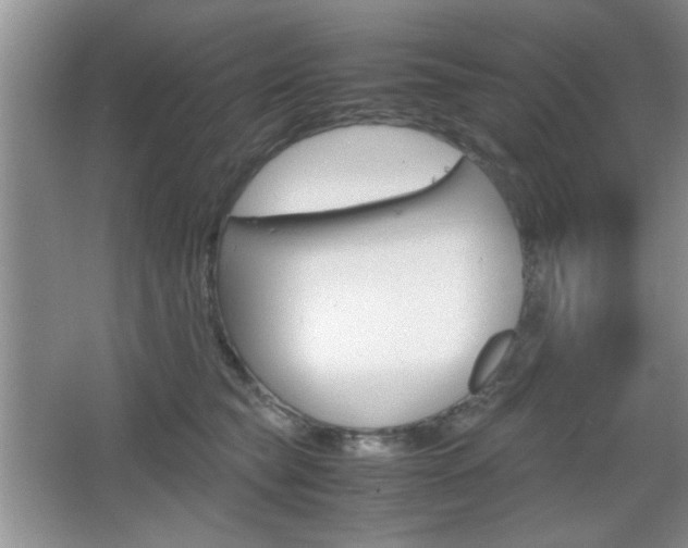 X0000067830565200604130921
