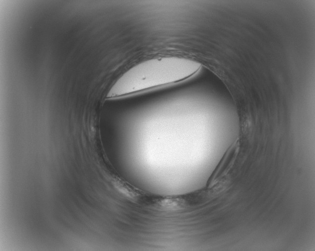 X0000067830566200604130921