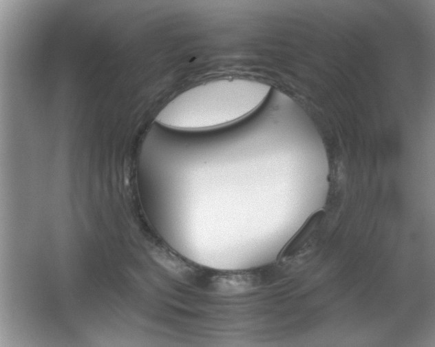 X0000067830567200604130921