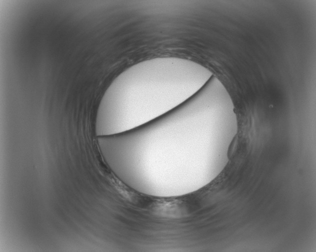 X0000067830569200604130922