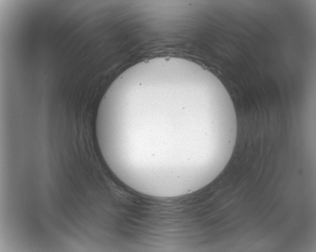 X0000067830570200604130922