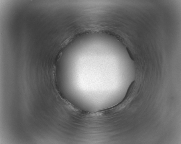 X0000067830576200604130922