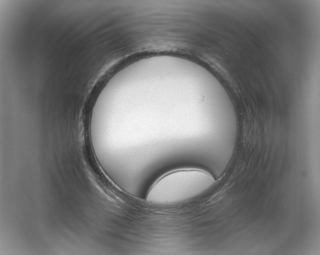 X0000067830584200604130921