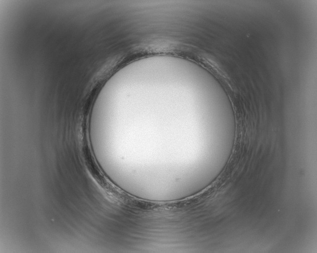 X0000067830586200604130921