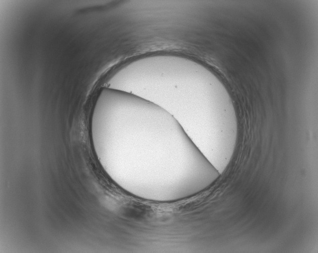 X0000067830587200604130921