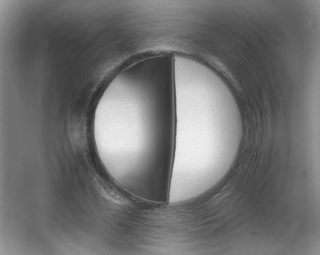 X0000067830588200604130921