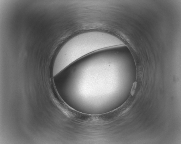 X0000067830589200604130921