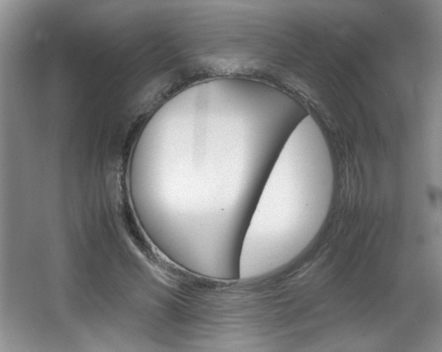 X0000067830590200604130921