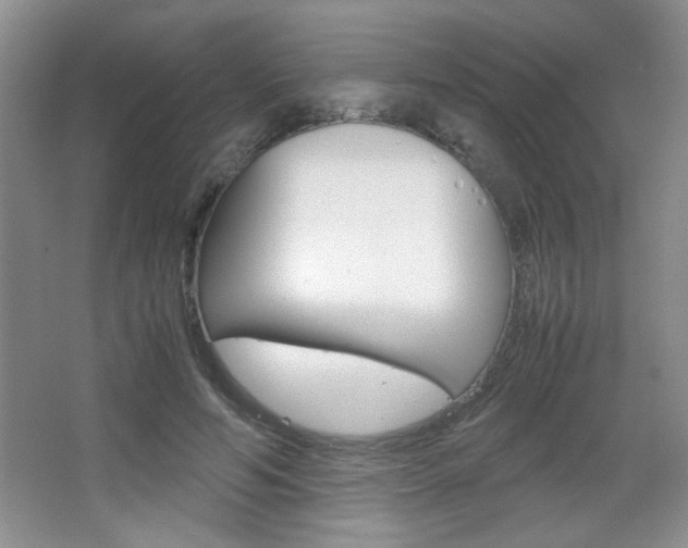 X0000067830594200604130921