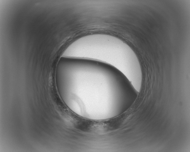 X0000067830595200604130921