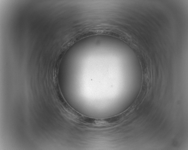 X0000067830605200604130920