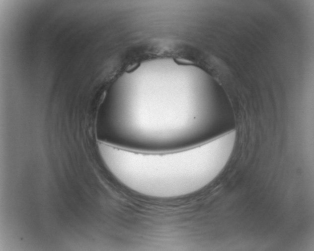 X0000067830607200604130920
