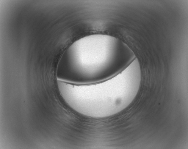 X0000067830608200604130920
