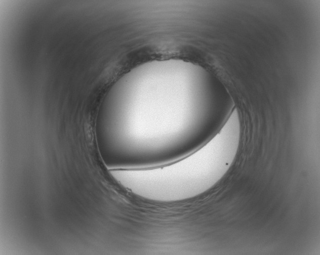 X0000067830609200604130920