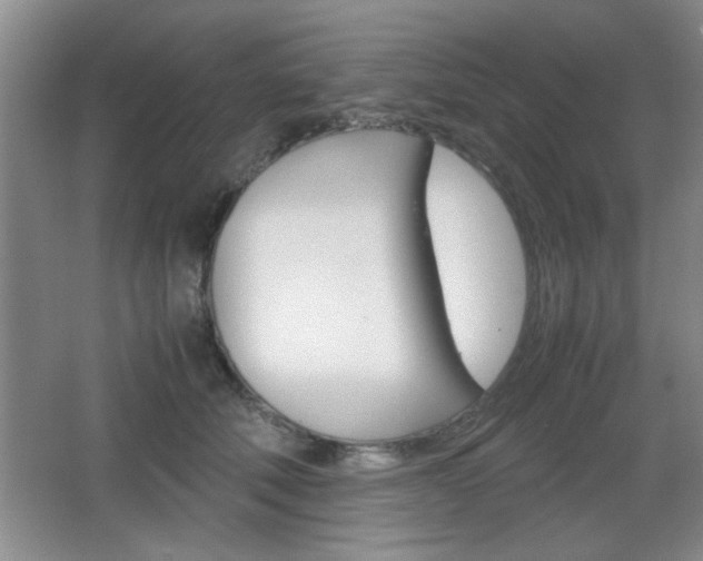 X0000067830610200604130920