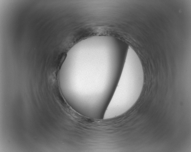 X0000067830611200604130920