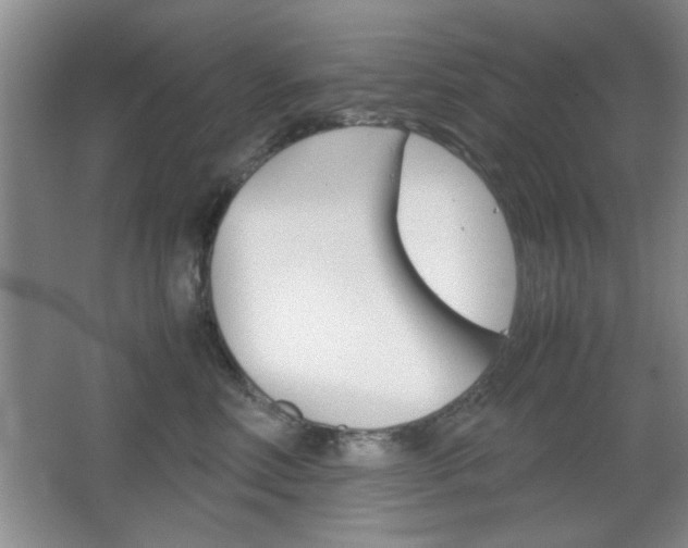 X0000067830618200604130920