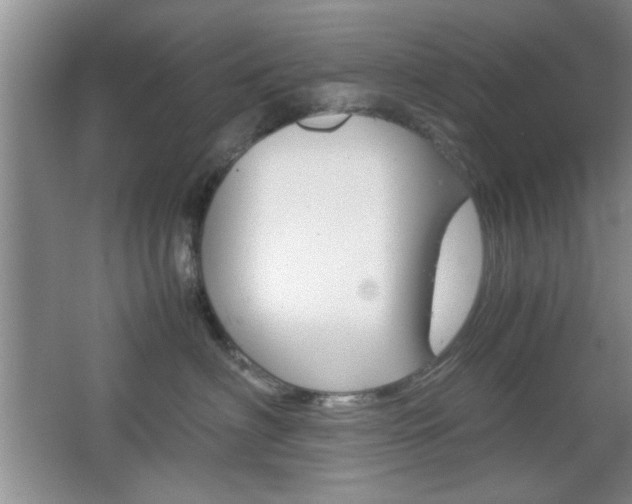 X0000067830622200604130920