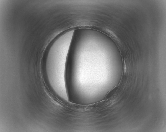 X0000067830627200604130919