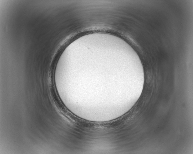 X0000067830632200604130919