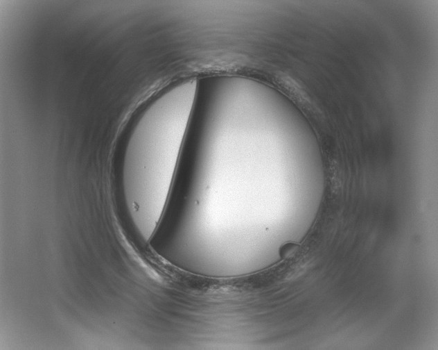 X0000067830634200604130919