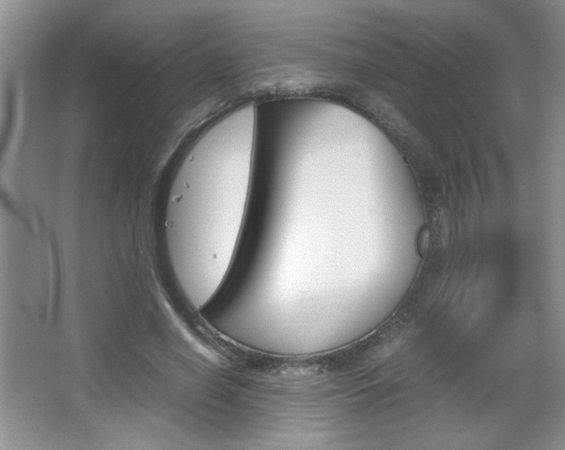 X0000067830638200604130919