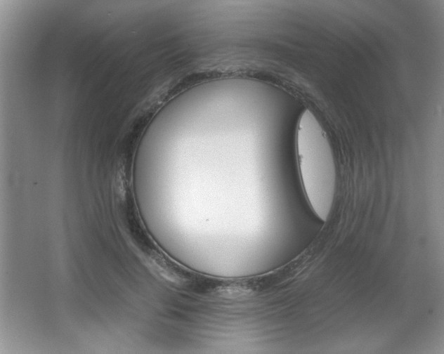 X0000067830644200604130920