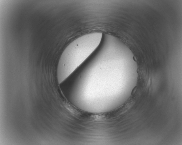X0000067830660200604130920