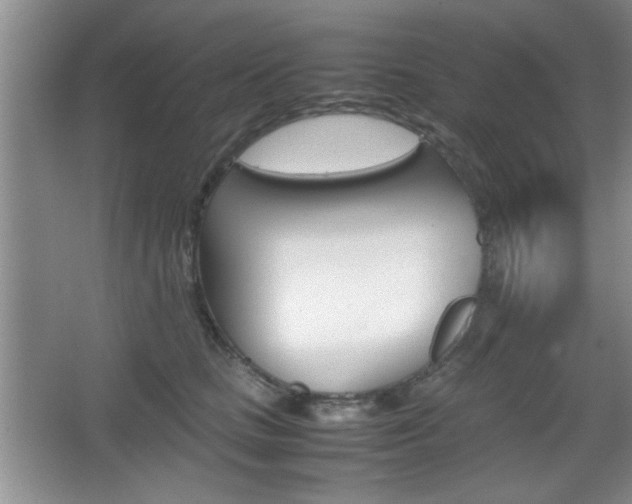 X0000067830661200604130920
