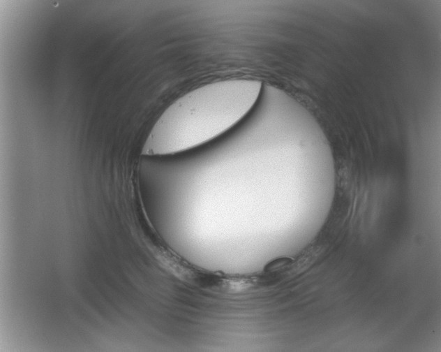 X0000067830662200604130920