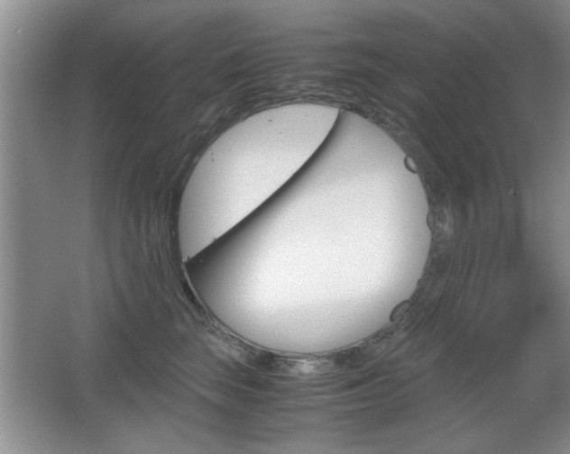 X0000067830663200604130920