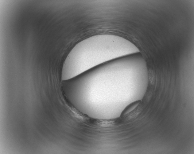 X0000067830670200604130920