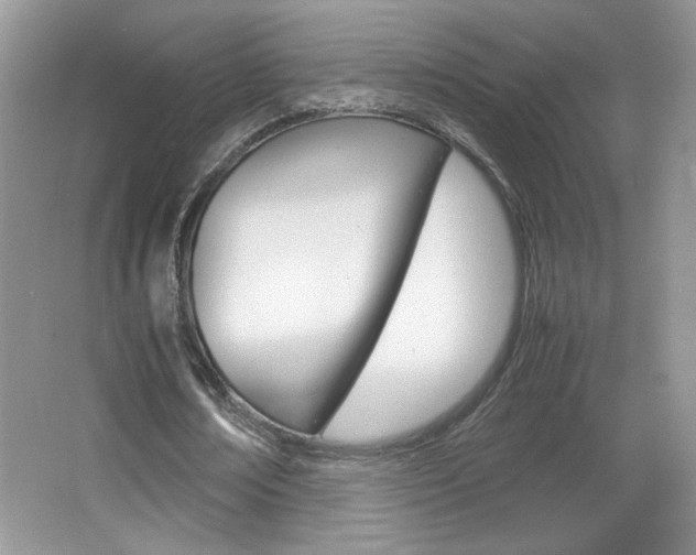 X0000067830674200604130919
