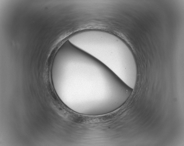 X0000067830675200604130919