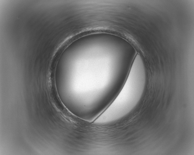 X0000067830676200604130919