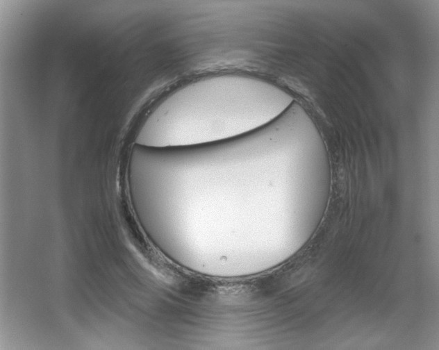 X0000067830686200604130919
