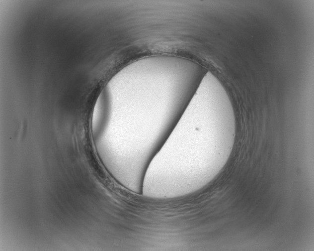 X0000067830687200604130919
