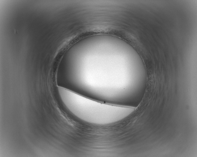 X0000067830688200604130919