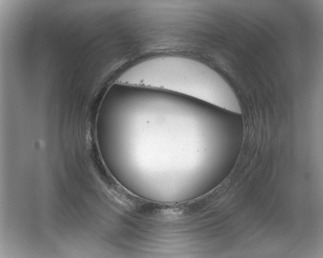 X0000067830692200604130919