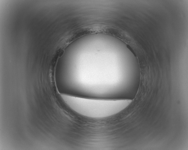 X0000067830696200604130919