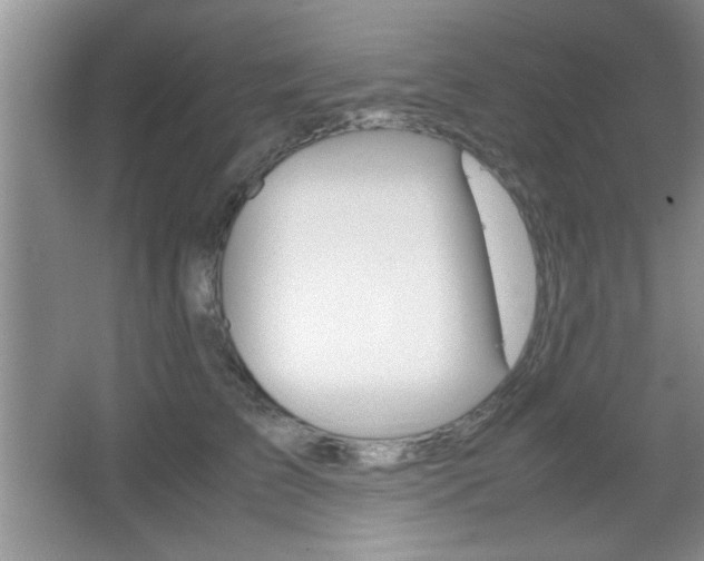 X0000067830709200604130919