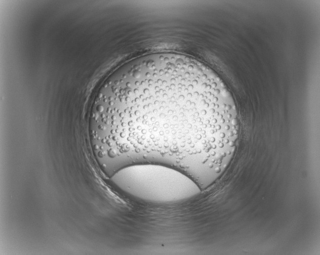 X0000067830721200604130917