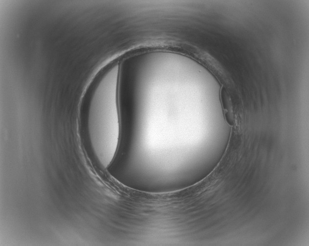 X0000067830724200604130917