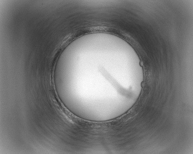 X0000067830729200604130917