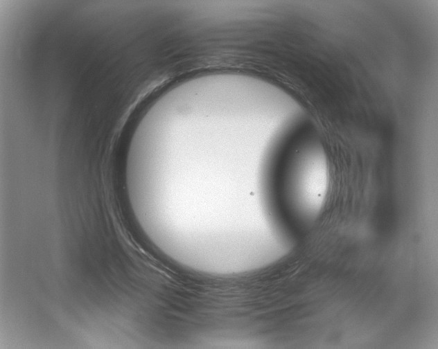 X0000067830731200604130917