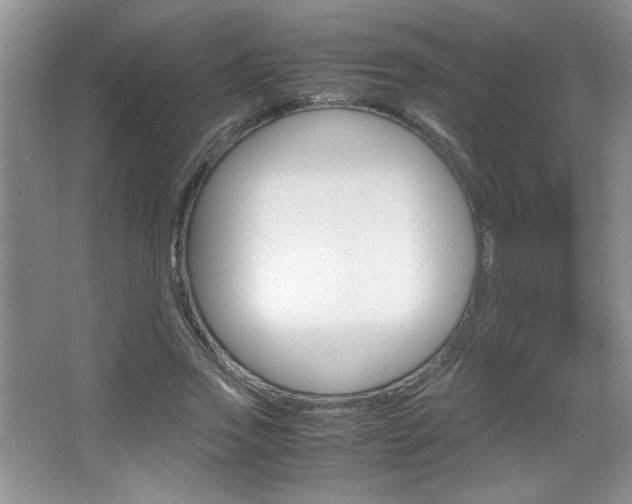 X0000067830733200604130918