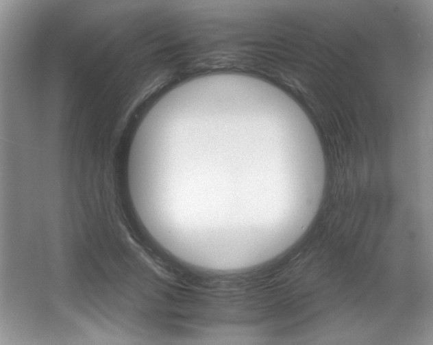 X0000067830735200604130918