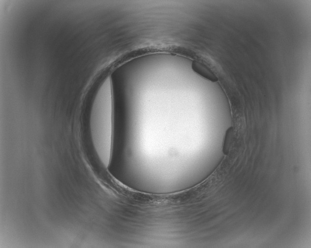 X0000067830736200604130918