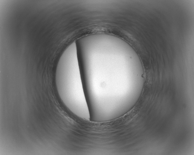 X0000067830737200604130918
