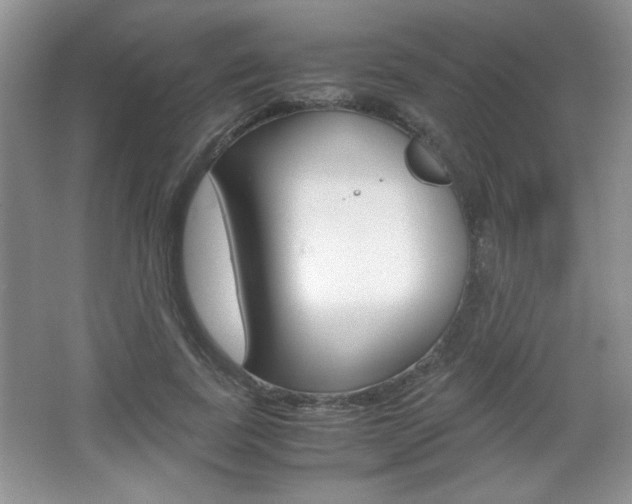 X0000067830739200604130918